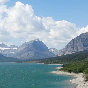 Meet your Posher, Maggie